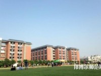 中山大學(xué)新華師范學(xué)院東莞校區(qū)2023年學(xué)費(fèi)、收費(fèi)多少