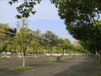 四川大學師范學院江安校區2023年學費、收費多少