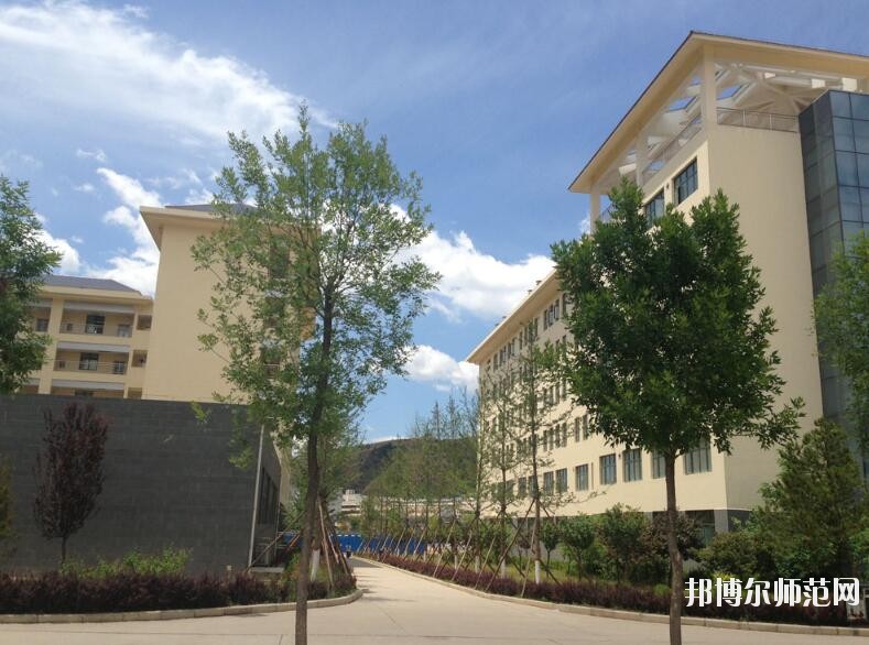 延安職業技術師范學院網站網址