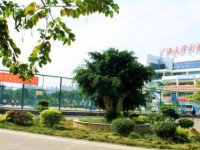 廣西大學(xué)行健文理師范學(xué)院2023年學(xué)費、收費多少