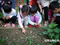 杭州2020年幼師學(xué)校什么專(zhuān)業(yè)有前途