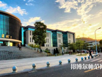 東莞理工師范學院城市學院2023年有哪些專業