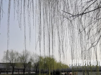 鶴壁職業(yè)技術(shù)師范學院2023年怎么樣、好不好