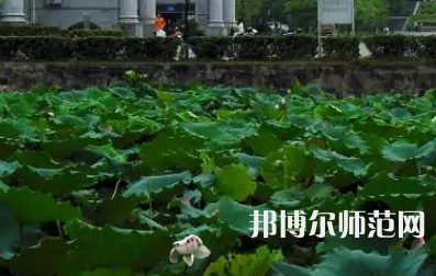 南華師范大學(xué)紅湘校區(qū)2023年報名條件、招生要求、招生對象