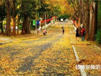 海南大學師范學院海甸校區2023年報名條件、招生要求、招生對象