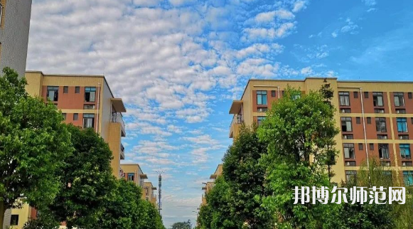 四川師范大學成都學院眉山校區歷年招生錄取分數線